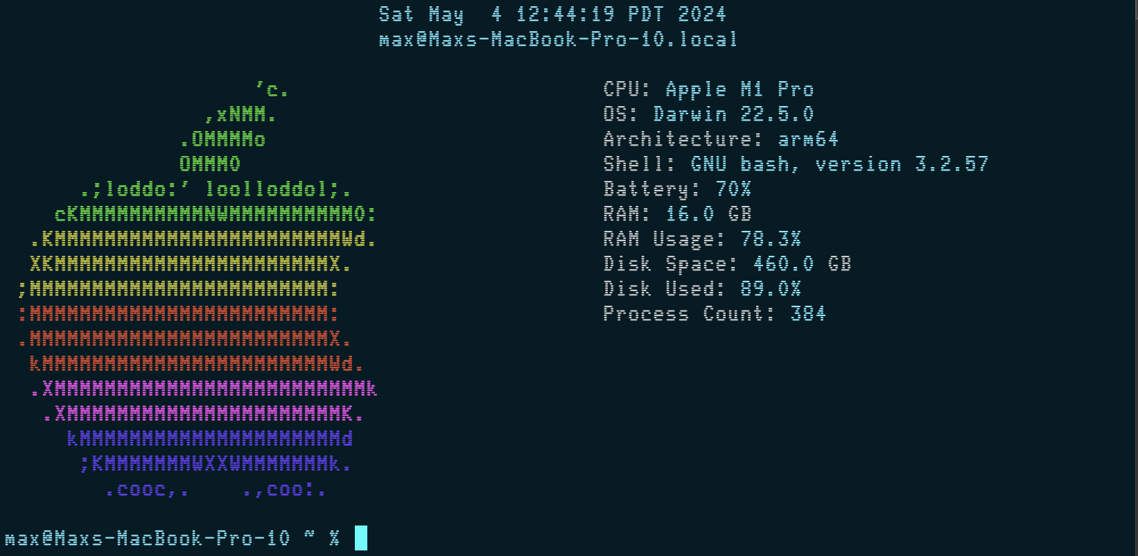 Screenshot of my custom terminal